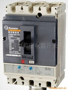 樂清市若望電器開關(guān)廠與拔動(dòng)開關(guān)的專業(yè)解析